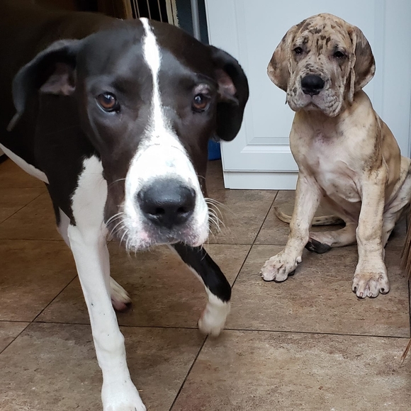 Meet your Posher, Heather - Picture 1 of 1